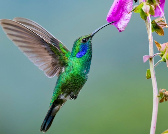 21 Fun & Interesting Facts About Central America You Need to Know Today